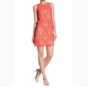 Eliza J orange coral lace sleeveless sheath dress
